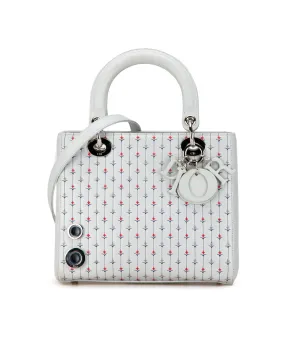 Embroidered Leather Lady Dior Satchel